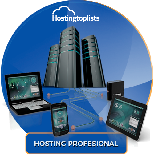 hosting profesional