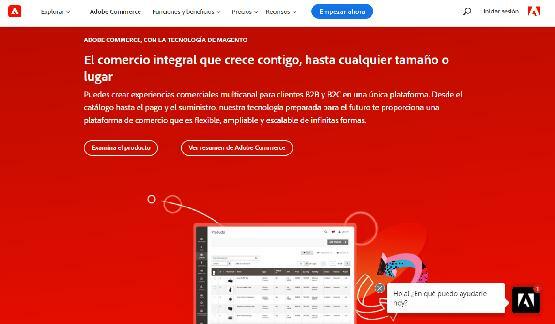 MAGENTO