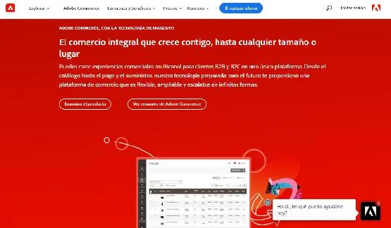 MAGENTO