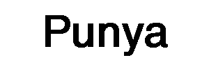 PUNYA logo
