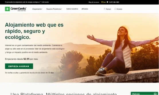 GREENGEEKS Copia en conflicto de Marketing