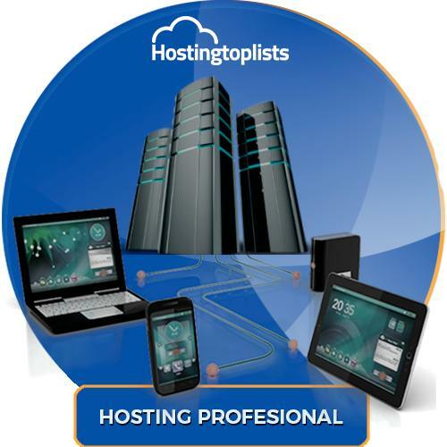 hosting profesional